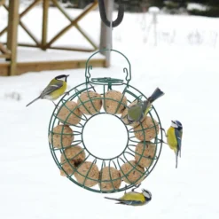 Fat Ball Feeding Ring -Deals Birdvora Store 35092 2 2 1