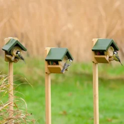 Pole Mounted Dublin Peanut Butter Feeder -Deals Birdvora Store 35103 35104 2 2 2