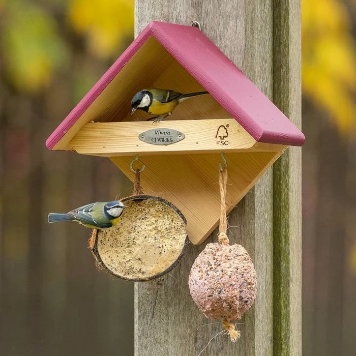 Yellowstone Wall Mounted Bird Feeder 2 Yellowstone Wall Mounted Bird Feeder - Image 2
