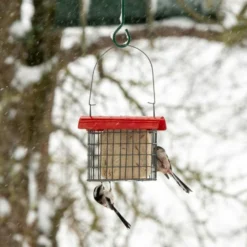 Sydney Peanut Cake Feeder -Deals Birdvora Store 351370120 5