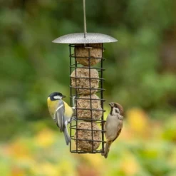 Adelaide Metal Fat Ball Bird Feeder