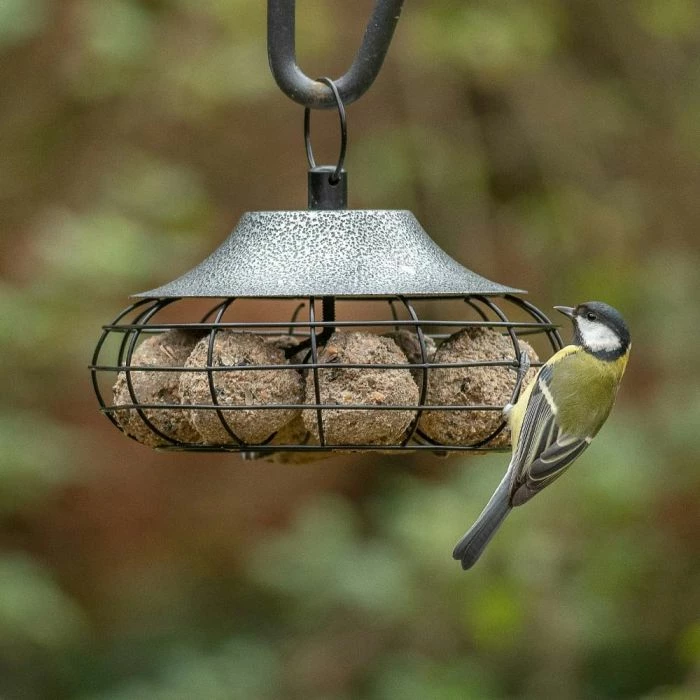 Fremantle Fat Ball Bird Feeder 2 Fremantle Fat Ball Bird Feeder - Image 2