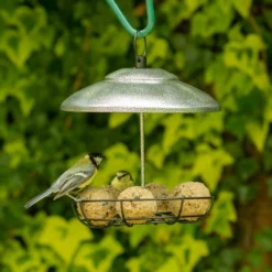 Bunbury Silver Fat Ball And Peanut Butter Bar Bird Feeder