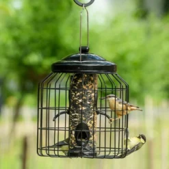 Brussels Seed Bird Feeder Guardian Pack