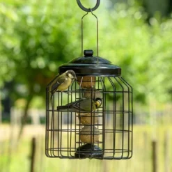Brussels Fat Ball Bird Feeder Guardian Pack 7 Brussels Fat Ball Bird Feeder Guardian Pack -Deals Birdvora Store 351590119 03