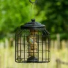 Brussels Fat Ball Bird Feeder Guardian Pack