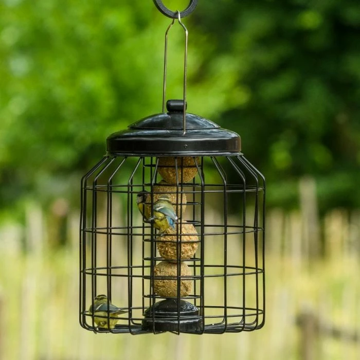 Brussels Fat Ball Bird Feeder Guardian Pack 1 Brussels Fat Ball Bird Feeder Guardian Pack