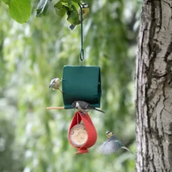 Malibu Peanut Butter Jar Holder Bird Feeder -Deals Birdvora Store 35175 35176 qm 1654 1