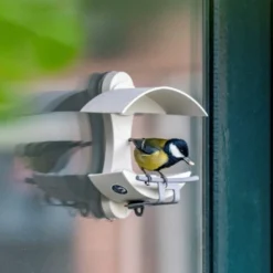 National Trust Acorn Window Feeder