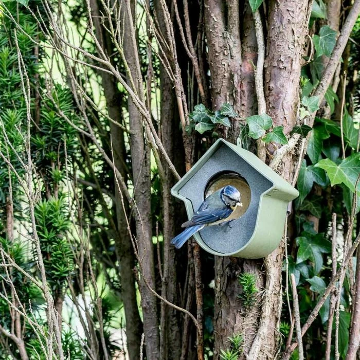 National Trust Evie Peanut Butter Feeder (100% Recycled) 3 National Trust Evie Peanut Butter Feeder (100% Recycled) - Image 3