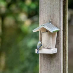 Deals Birdvora Store 29 Espoo Peanut Cake Feeder