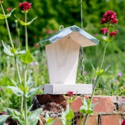 Deals Birdvora Store -Deals Birdvora Store 351820119 jvg 7196 1