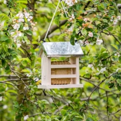 Turku Peanut Cake Feeder