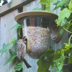SingingFriend FeedR Bird Seed Feeder -Deals Birdvora Store 37001 04 1