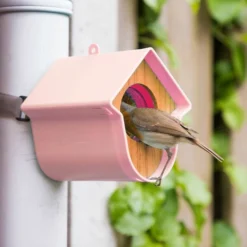 SingingFriend Evie Peanut Butter Bird Feeder -Deals Birdvora Store 37010 04 1