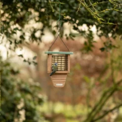 National Trust Peanut Cake Squares - Bundle Of 3 -Deals Birdvora Store 37030