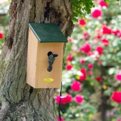 Nest Box With Camera Bundle