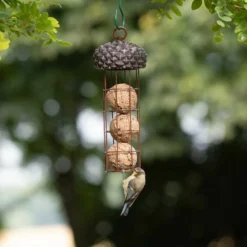 Acorn Fat Ball Bird Feeder -Deals Birdvora Store 675440119 qm 7455