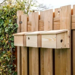 House Sparrow Multi Nest Box 34mm -Deals Birdvora Store 901670120 901690120 901680120 house sparrow multi box sw low res 9474 1