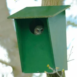 Tawny Owl, Stock Dove And Jackdaw Nest Box 6 Tawny Owl, Stock Dove And Jackdaw Nest Box -Deals Birdvora Store 90316