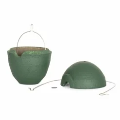 WoodStone® Malaga 32mm Nest Box (Green) -Deals Birdvora Store 904960119 6