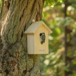 National Trust Build-Your-Own 32mm Nest Box -Deals Birdvora Store 905110621 4