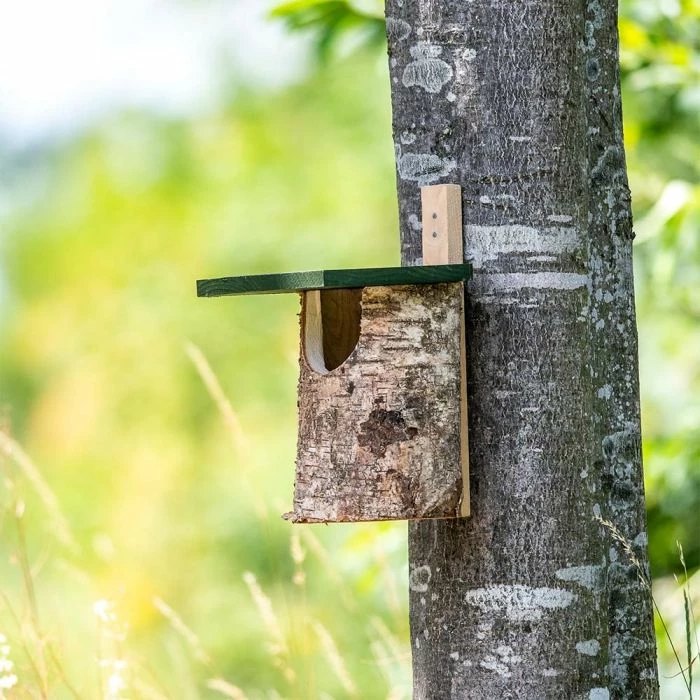 National Trust Birch Open Nest Box 1 National Trust Birch Open Nest Box