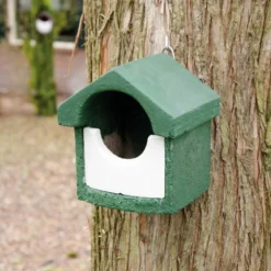 National Trust Green WoodStone Open Nest Box -Deals Birdvora Store 905960119 cjw woodstone small open green clip 2012 1