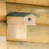 Starling Nest Box With Balcony