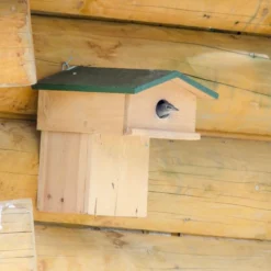 Starling Nest Box With Balcony