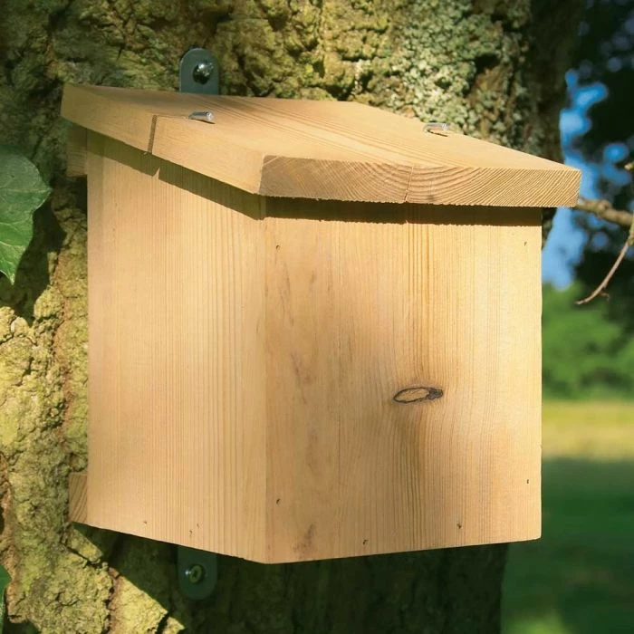Timber Dormouse Nesting Box 1 Timber Dormouse Nesting Box