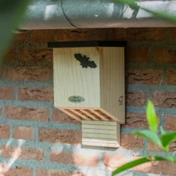 Falkenstein Bat Box