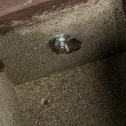 Hazel Dormouse Nest Box -Deals Birdvora Store 915020120 pro dormouse nest box 26mm 9714 qm