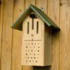 Butterfly & Bee Box
