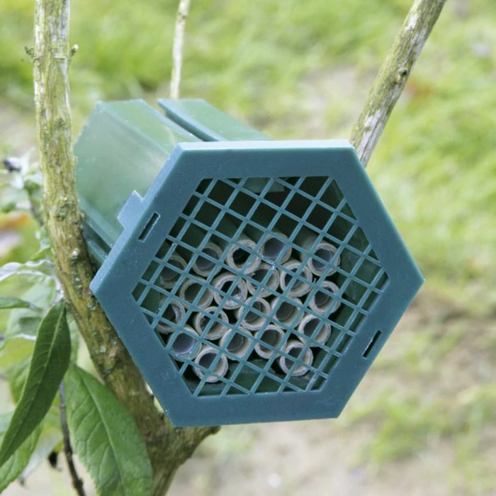 Solitary Bee Nest Box 2 Solitary Bee Nest Box - Image 2