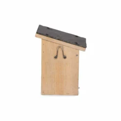 Montana 32mm Nest Box -Deals Birdvora Store 920480619 montana nest box dv 0250
