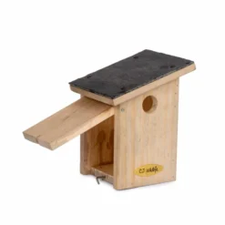 Montana 32mm Nest Box -Deals Birdvora Store 920480619 montana nest box dv 0251