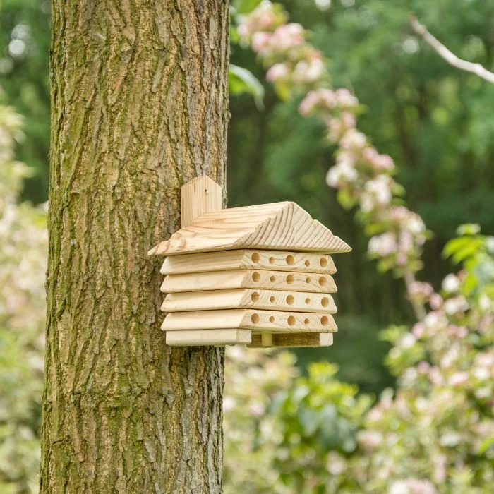 'Bee' Mini Insect House 1 'Bee' Mini Insect House
