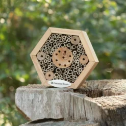 National Trust Hexagon Insect House