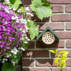 Bee Hotel Pantelleria -Deals Birdvora Store 92119 jvg 9084