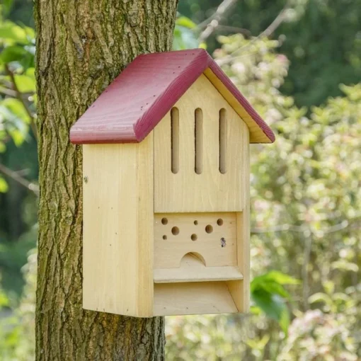 Butterfly And Bee Hotel 3 Butterfly And Bee Hotel -Deals Birdvora Store 92522 01