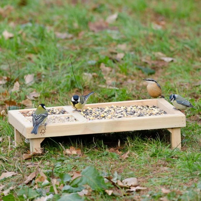 Selection Bird Table 1 Selection Bird Table