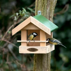 Amazon Bird Seed Feeder