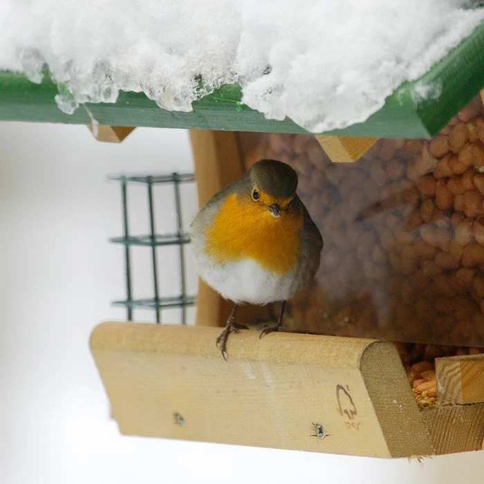 Mosel Hanging Bird Feeding House 2 Mosel Hanging Bird Feeding House - Image 2
