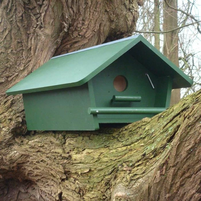 Little Owl Apex Nest Box 1 Little Owl Apex Nest Box