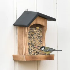 Houston Bird Seed Feeder