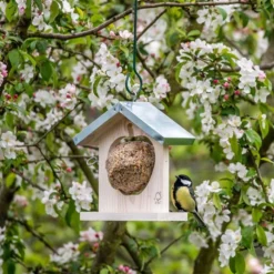 Tampere Apple And Fat Ball Feeder