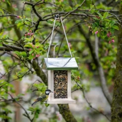 Deals Birdvora Store 37 Lahti Seed Feeder
