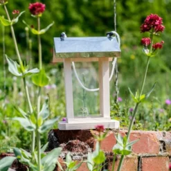 Deals Birdvora Store -Deals Birdvora Store 930780119 jvg 7203 1