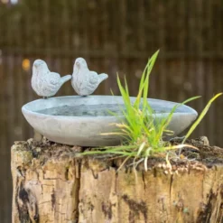 Licony Concrete Bird Bath -Deals Birdvora Store 935820119 licony waterdish dv 2940